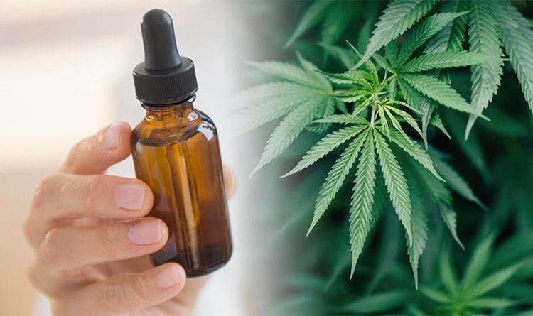 Why You Should Consider Flavored CBD Oils